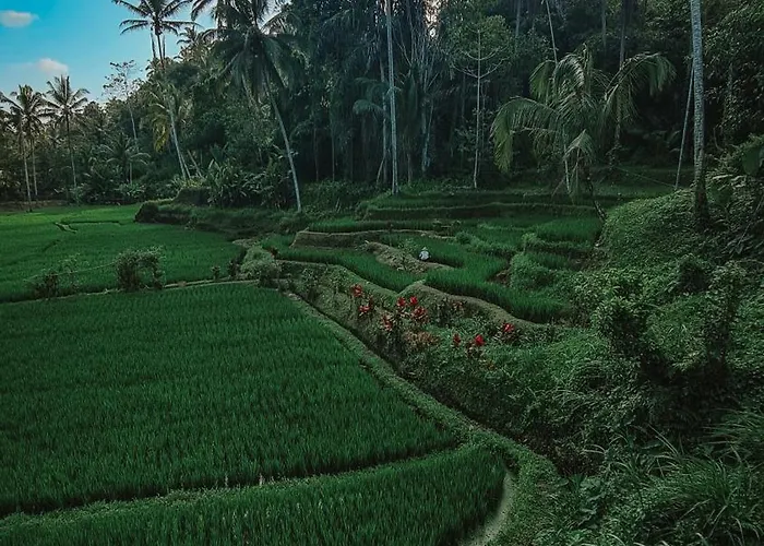 The Tirta Sari *